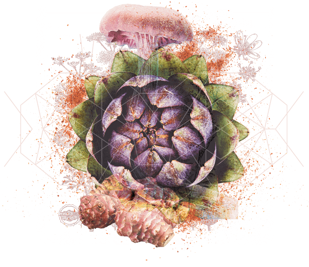 Graphic showing a red artichoke, a mushroom and ginger
