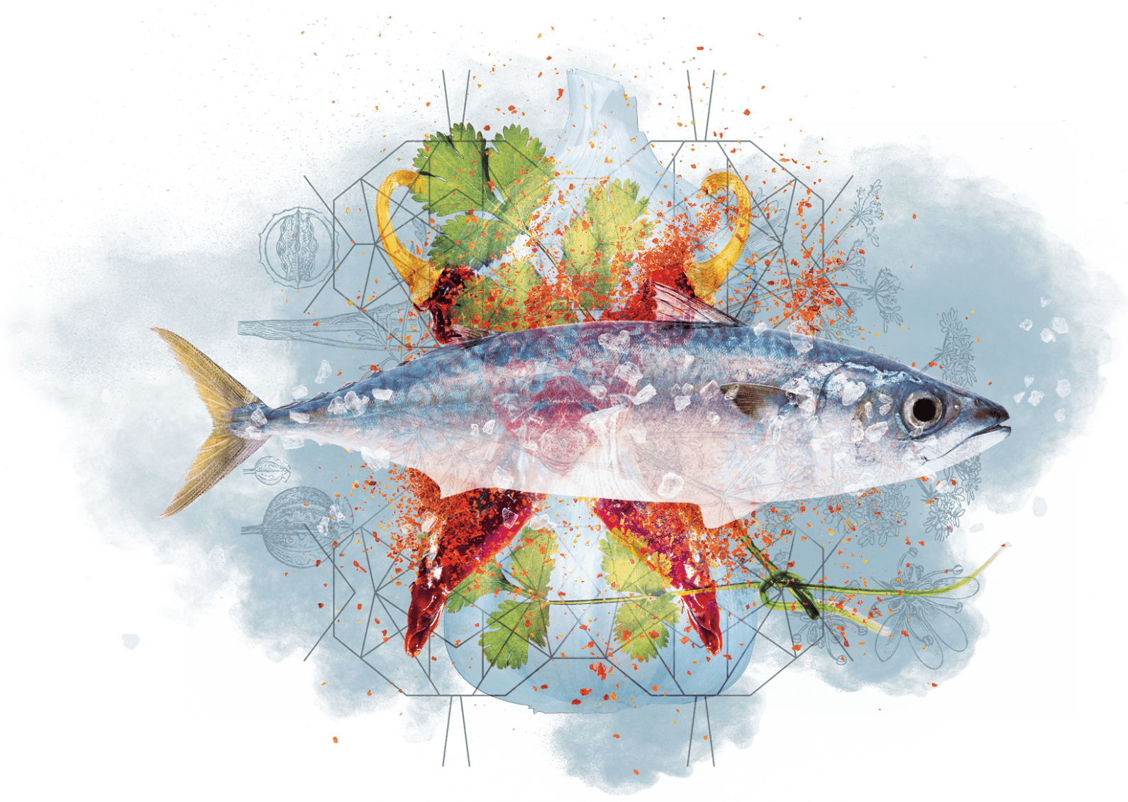 Graphic showing a fish, garlic and fresh parsley
