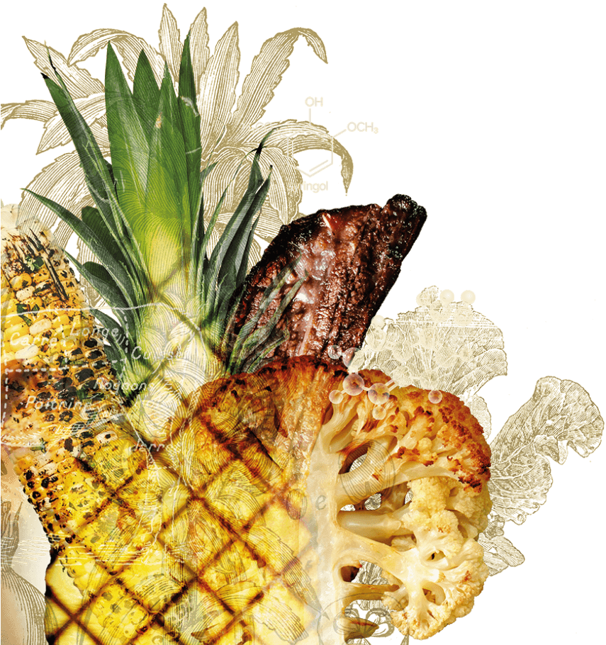 Graphic showing a pineapple, bacon, cauliflower and corn
