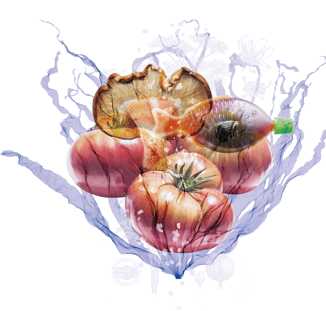 Graphic showing tomatoes, a mushroom and a fish